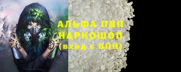 сатива Гусиноозёрск