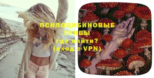 стафф Гусев