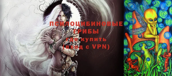 стафф Гусев