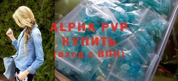 стафф Гусев
