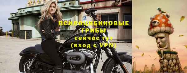 сатива Гусиноозёрск