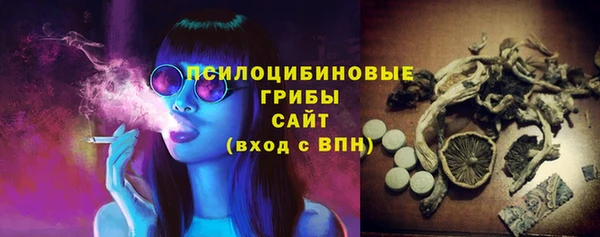 стафф Гусев