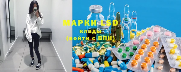 стафф Гусев