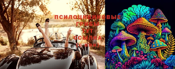 сатива Гусиноозёрск